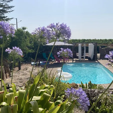 Les Agapanthes - Adult Only Montagne (Gironde)